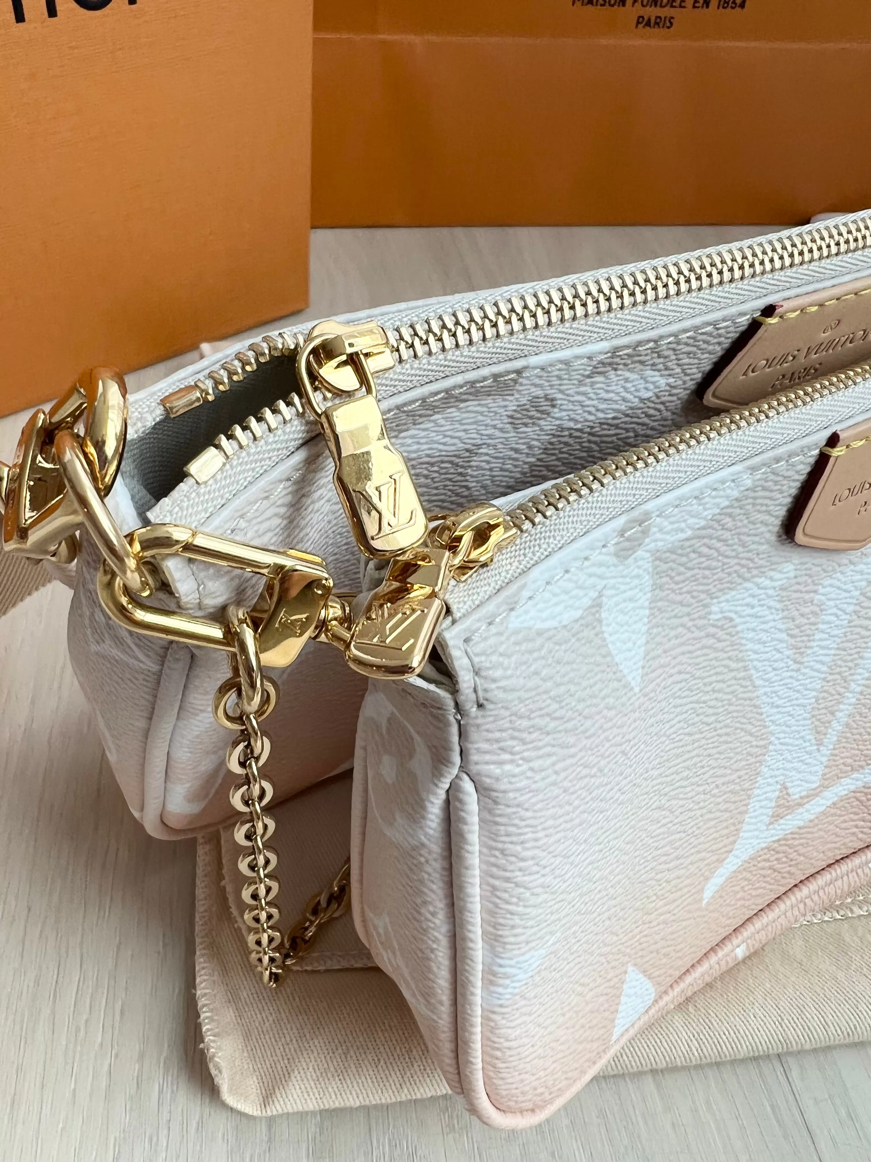 Louis Vuitton Multi Pochette Accessories Bag