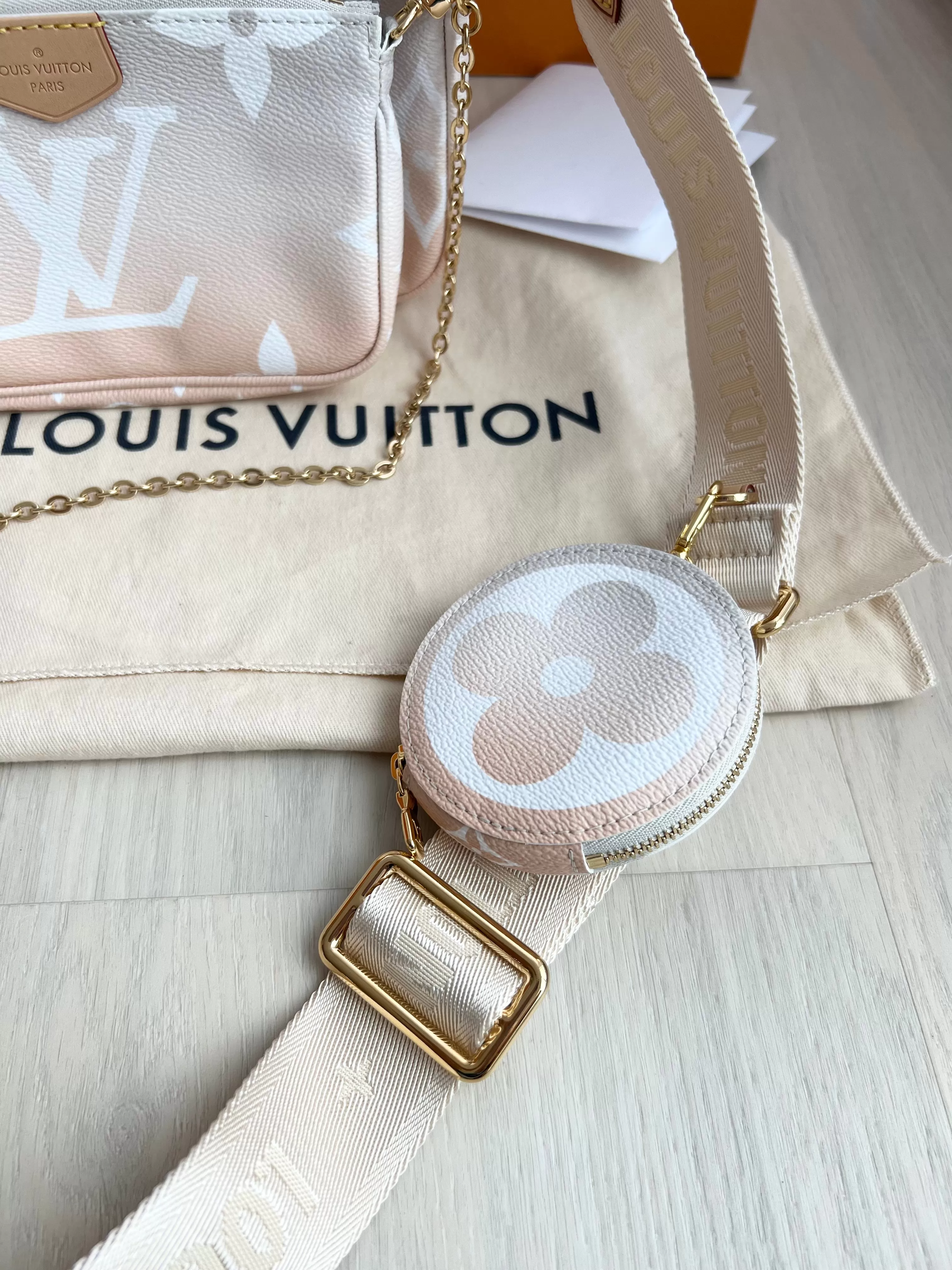 Louis Vuitton Multi Pochette Accessories Bag